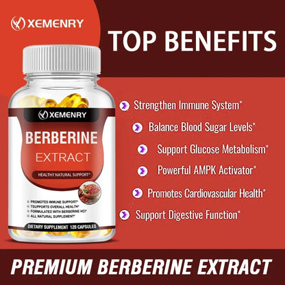 Berberine Capsules - Supports Bone and Cardiovascular Health, Promotes Metabolism, Anti-oxidation, and Enhances Immunity