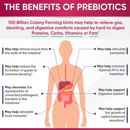 100 Billion Organic Probiotics CFU Digestive Enzyme Cranberry To Help Digestion and Immune System Pure Natural Vegetarian